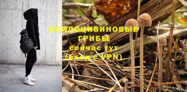 ПСИЛОЦИБИНОВЫЕ ГРИБЫ Белоозёрский