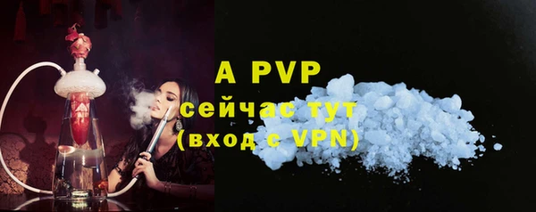 ПСИЛОЦИБИНОВЫЕ ГРИБЫ Белоозёрский