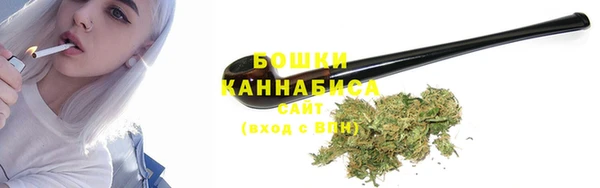 ПСИЛОЦИБИНОВЫЕ ГРИБЫ Белоозёрский