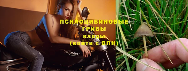 а пвп мука Белокуриха